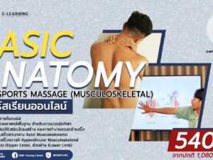 Online2 - Basic Anatomy for Sports Massage.jpg